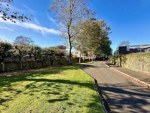 Photo 15- click for photo gallery